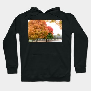 Autumn fall trees change yellow red green thanksgiving Hoodie